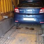 Pune Car Carrier